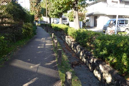 府中市・新田川の細い流れ