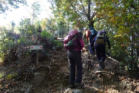 官ノ倉山・山頂直下に七峰縦走路の巻き道