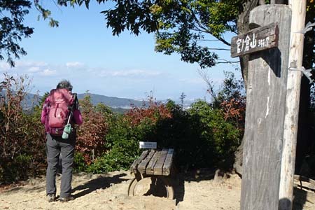 官ノ倉山・ベンチが置かれた官ノ倉山