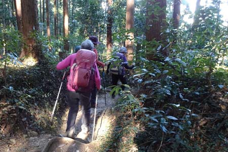 官ノ倉山・管ノ倉峠から天王池方面の下り