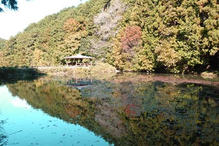 官ノ倉山・紅葉を水面に映す天王池