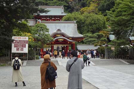 鎌倉市・鶴岡八幡宮