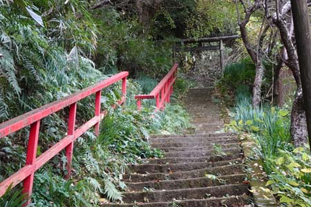 鎌倉市・急な石段を登ると青梅聖天社