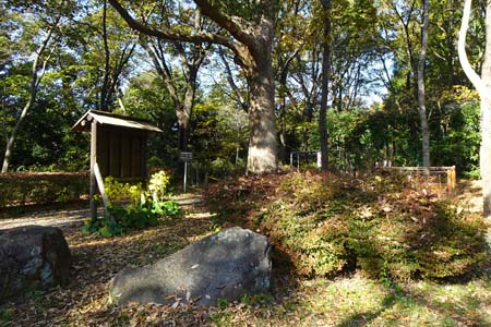 横浜市戸塚区・舞岡公園