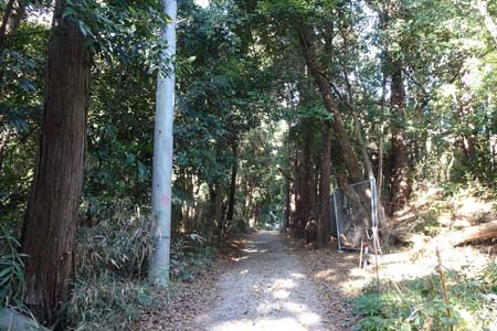 横浜市戸塚区・尾根通しに細い道