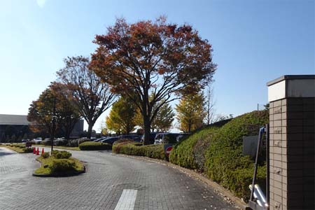横浜市旭区・戸塚カントリークラブ