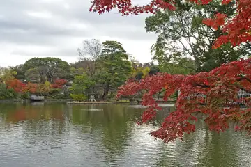 鶴岡八幡宮
