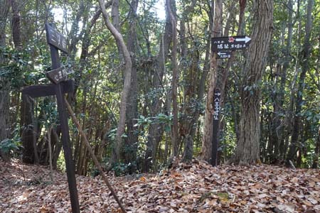 八王子城山から太鼓曲輪尾根・三又峠