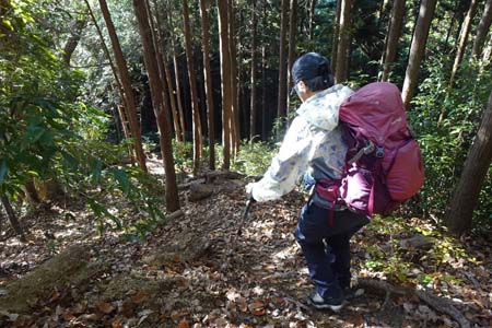 八王子城山から太鼓曲輪尾根・落ち葉の急坂を下って