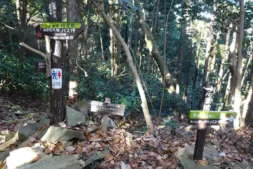 搦手峠