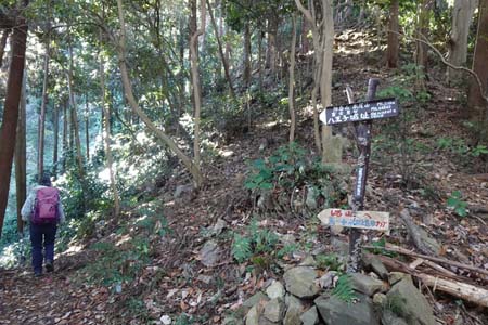 八王子城山から太鼓曲輪尾根・八王子城へは左手の道を