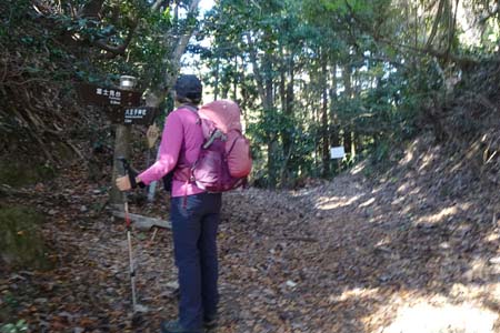 八王子城山から太鼓曲輪尾根・本城の深い切堀