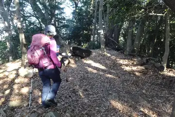 詰の城