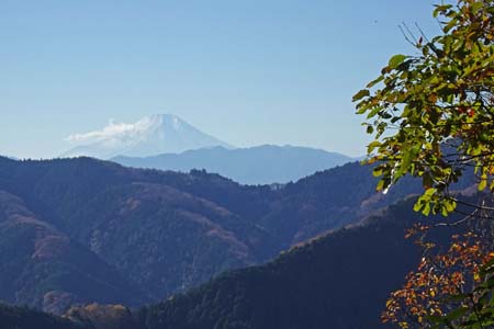 八王子城山から太鼓曲輪尾根・富士見台から富士山