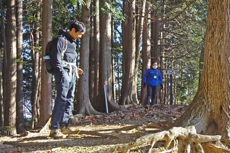 八王子城山から太鼓曲輪尾根・富士見台