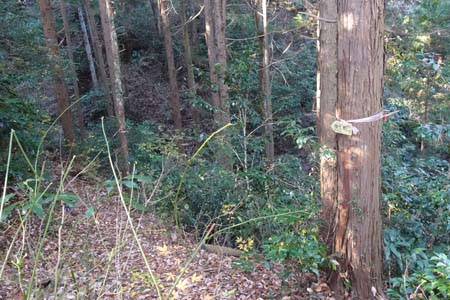 八王子城山から太鼓曲輪尾根・左手に御主殿の滝へと下る道