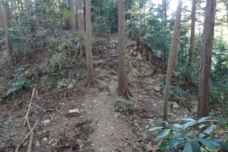 八王子城山から太鼓曲輪尾根・第四堀切