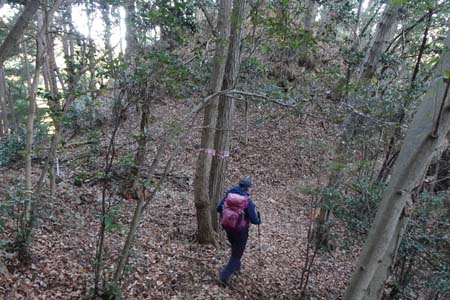 八王子城山から太鼓曲輪尾根・第三堀切