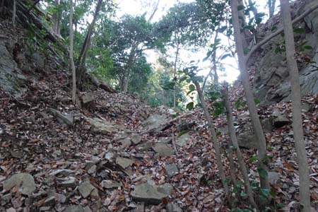 八王子城山から太鼓曲輪尾根・第二堀切