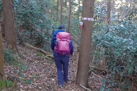 八王子城山から太鼓曲輪尾根・管理棟へと下る分岐