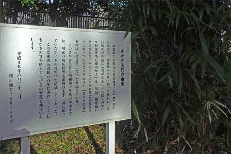 横浜市旭区・さかさ矢竹の由来