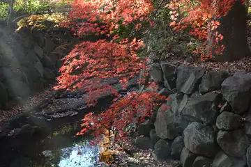 帷子川