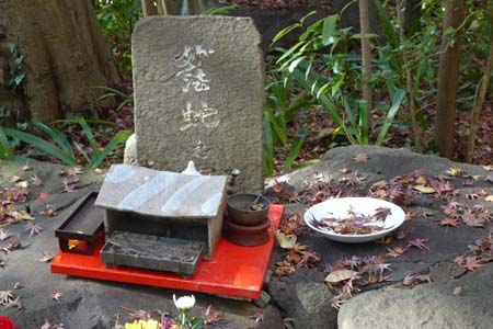 横浜市旭区・蛇の塚