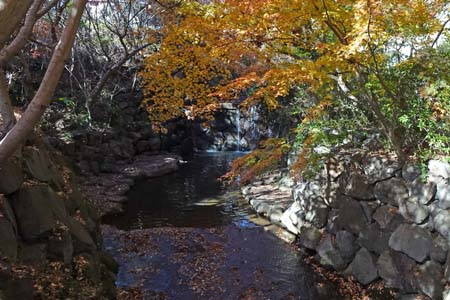 横浜市旭区・小さな流れに白糸の滝