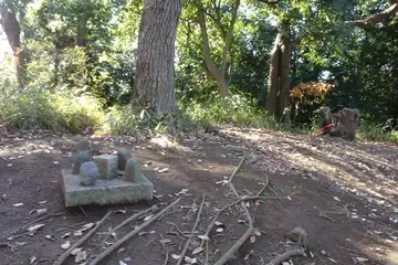 泉天ヶ谷公園に三角点