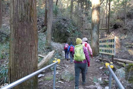 石老山・相模湖病院からは杉林の登り