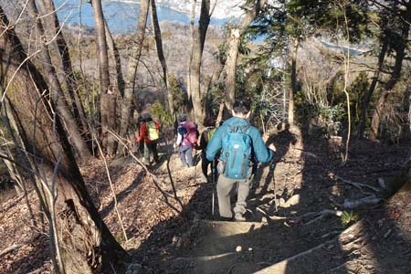 石老山・雑木林の中を下り
