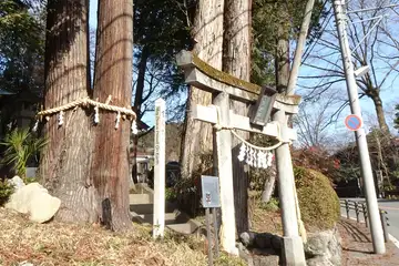 子生神社の夫婦杉