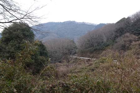 千代田アルプス・雪入ふれあいの里公園へ続く舗装道路