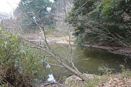 千代田アルプス・湖畔が周遊できる池