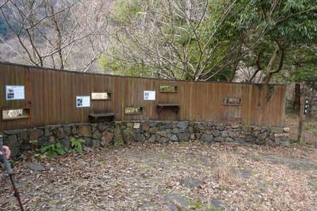 千代田アルプス・鳥の池の野鳥の観察施設