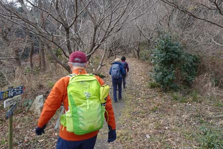 千代田アルプス・翁桜コースへ