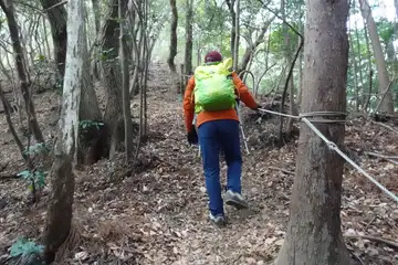 翁桜コース
