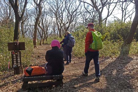 千代田アルプス・三ツ石森林公園への雑木林の下り