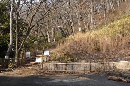 千代田アルプス・周辺にはアスレチック施設が