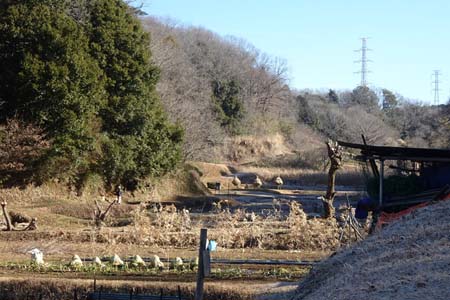 小野路・奈良ばい谷戸