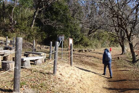 小野路・浅間神社への分岐を左に