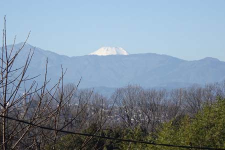 小野路・丹沢の稜線に富士山