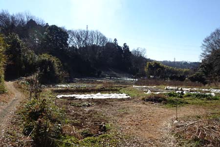 小野路・心地良い耕作地を下り