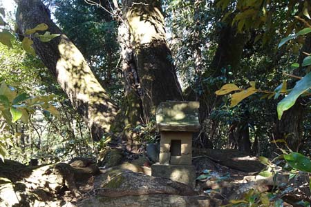 小野路・スダジイの根元にこうせん塚