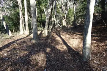 町田市・小野路城の曲輪跡か
