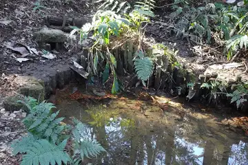 町田市・小野路城の小町井戸