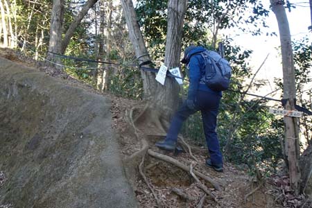 北高尾山稜・中央道をくぐると地蔵峰への登り