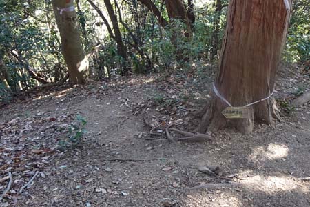 北高尾山稜・太鼓曲輪尾根へと下る道
