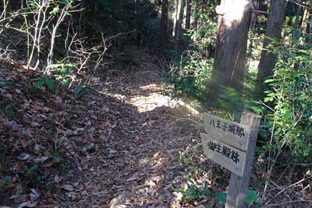 北高尾山稜・御主殿の滝へと下って行く道