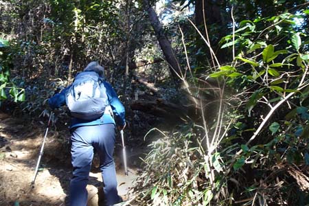 北高尾山稜・熊笹山への急な登り